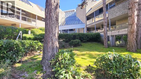 127 8451 WESTMINSTER HIGHWAY Richmond BC V6X3E4