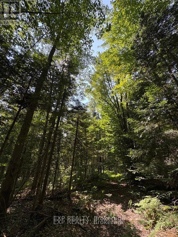 0 LOT 1 CONC. 2 PART 4 BOUNDARY ROAD