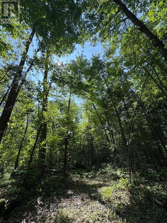 0 LOT 1 CONC. 2 PART 4 BOUNDARY ROAD