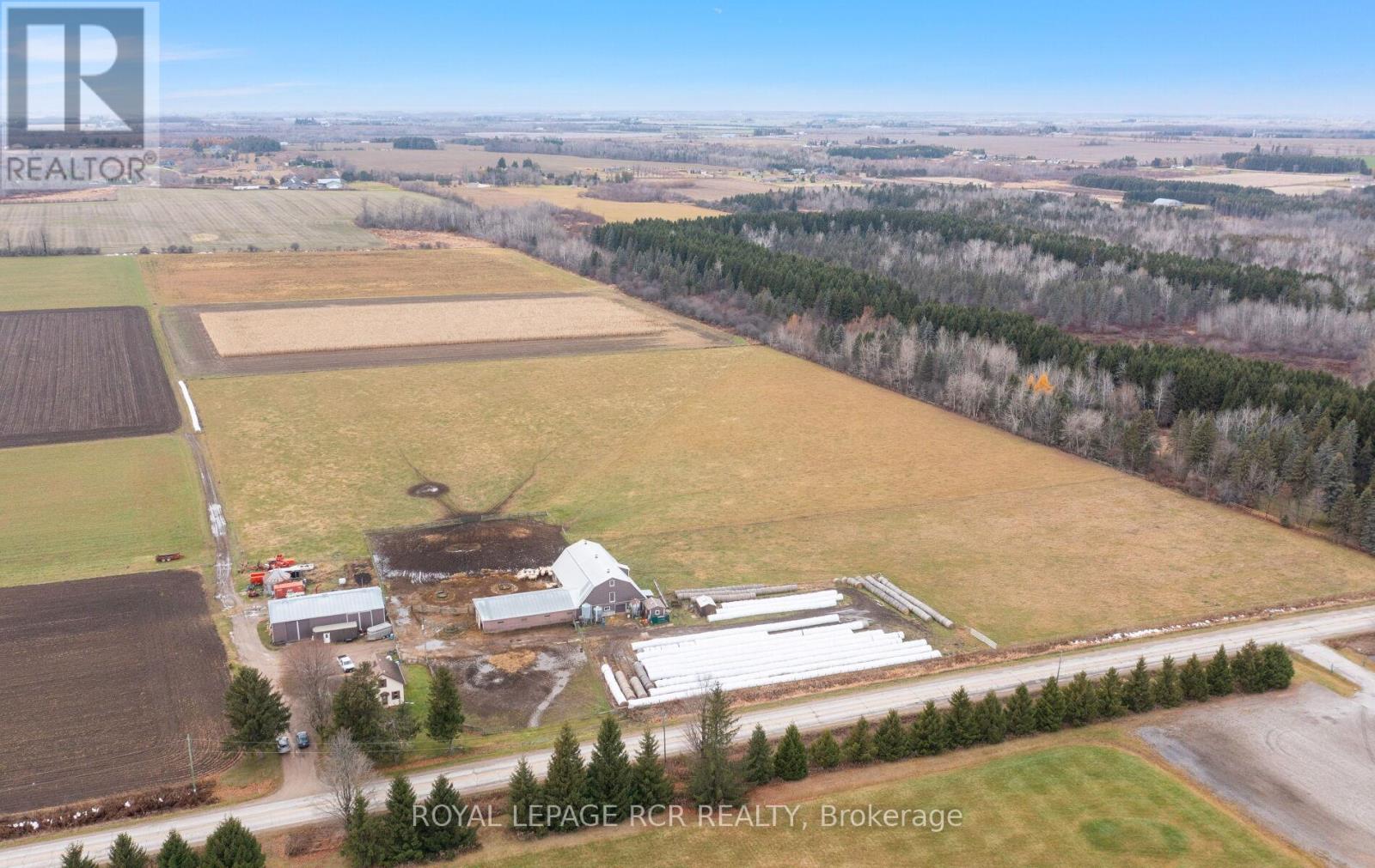 553456 MONO AMARANTH TOWNLINE