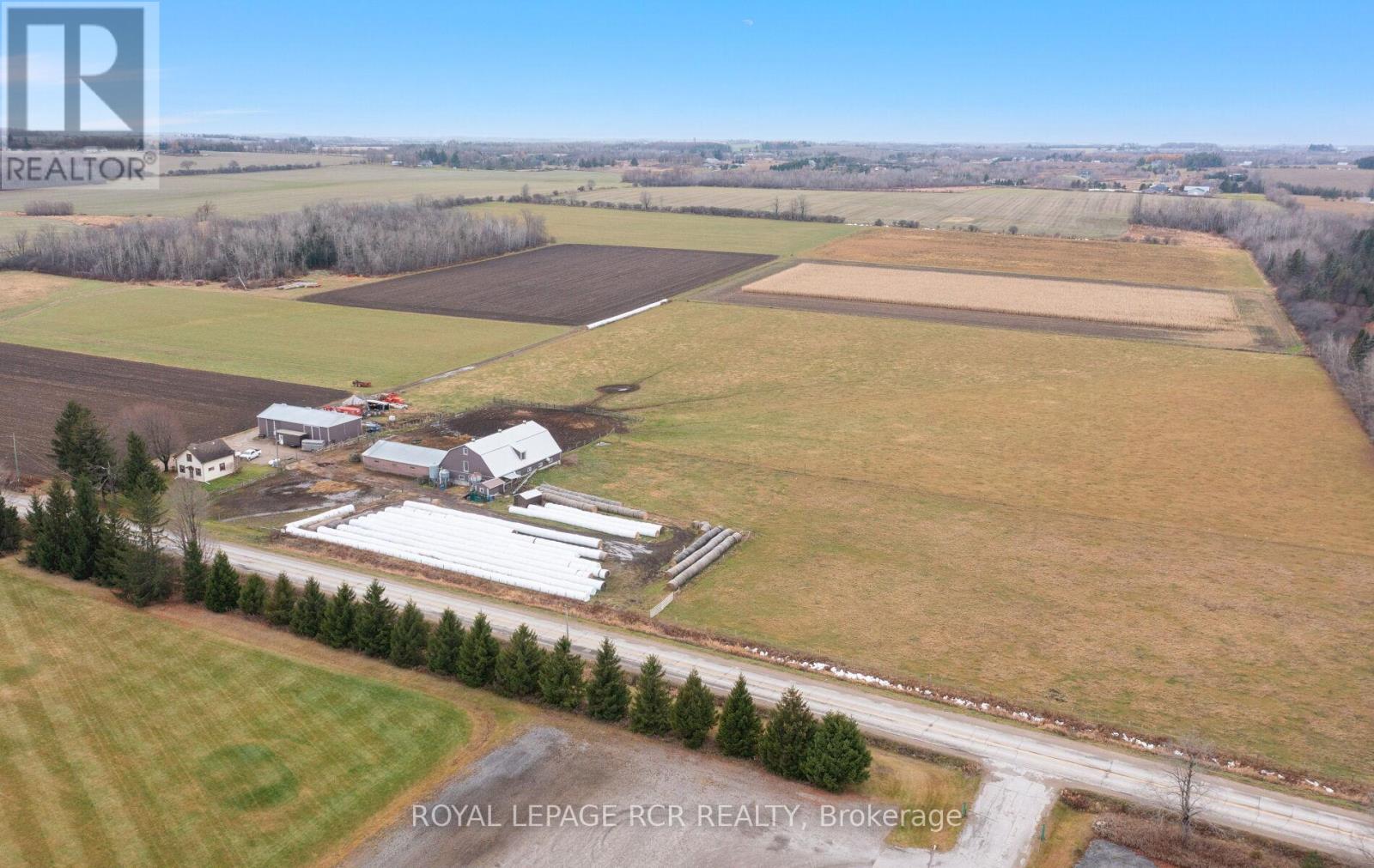 553456 MONO AMARANTH TOWNLINE