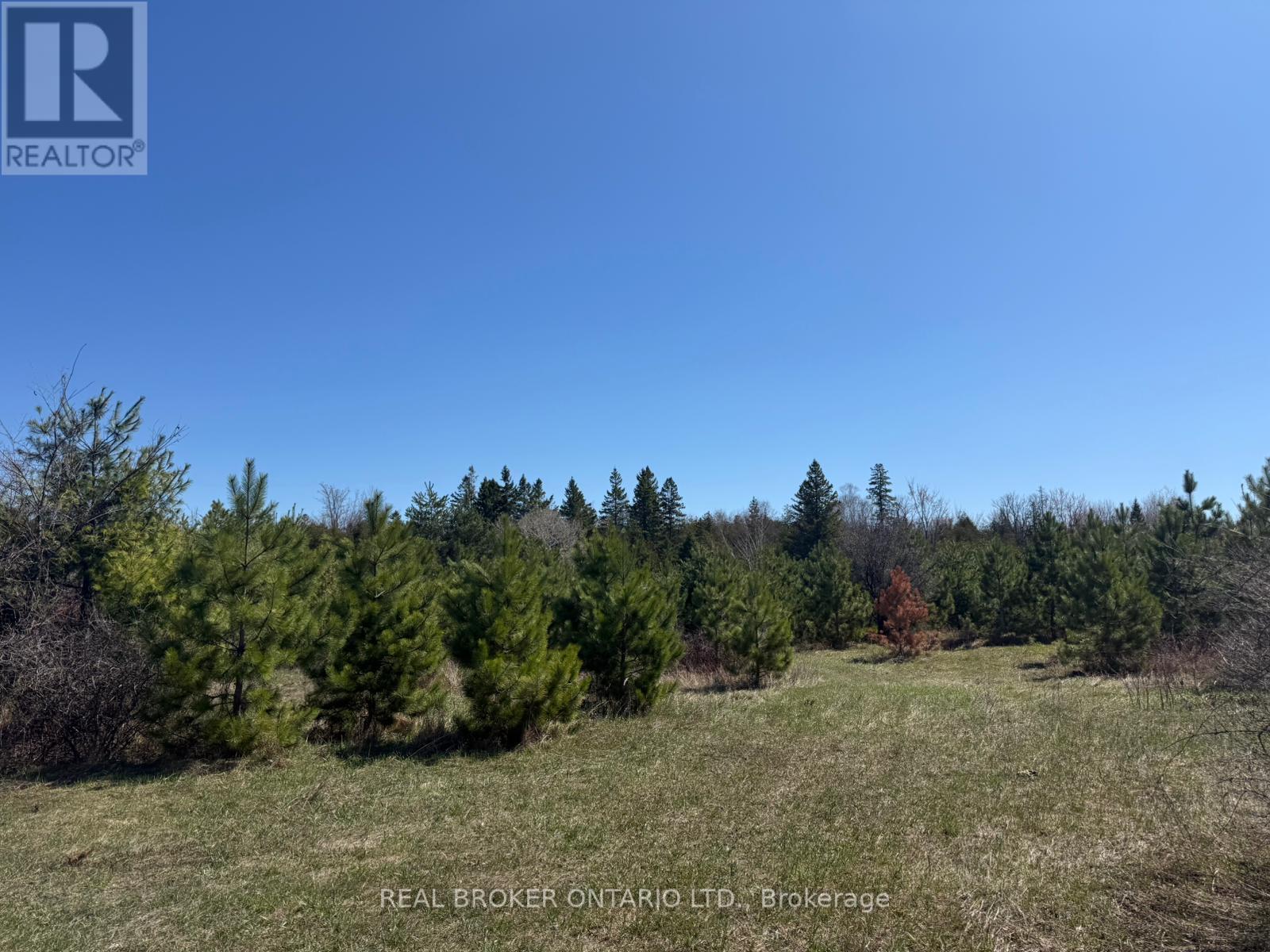3115 PADEN ROAD