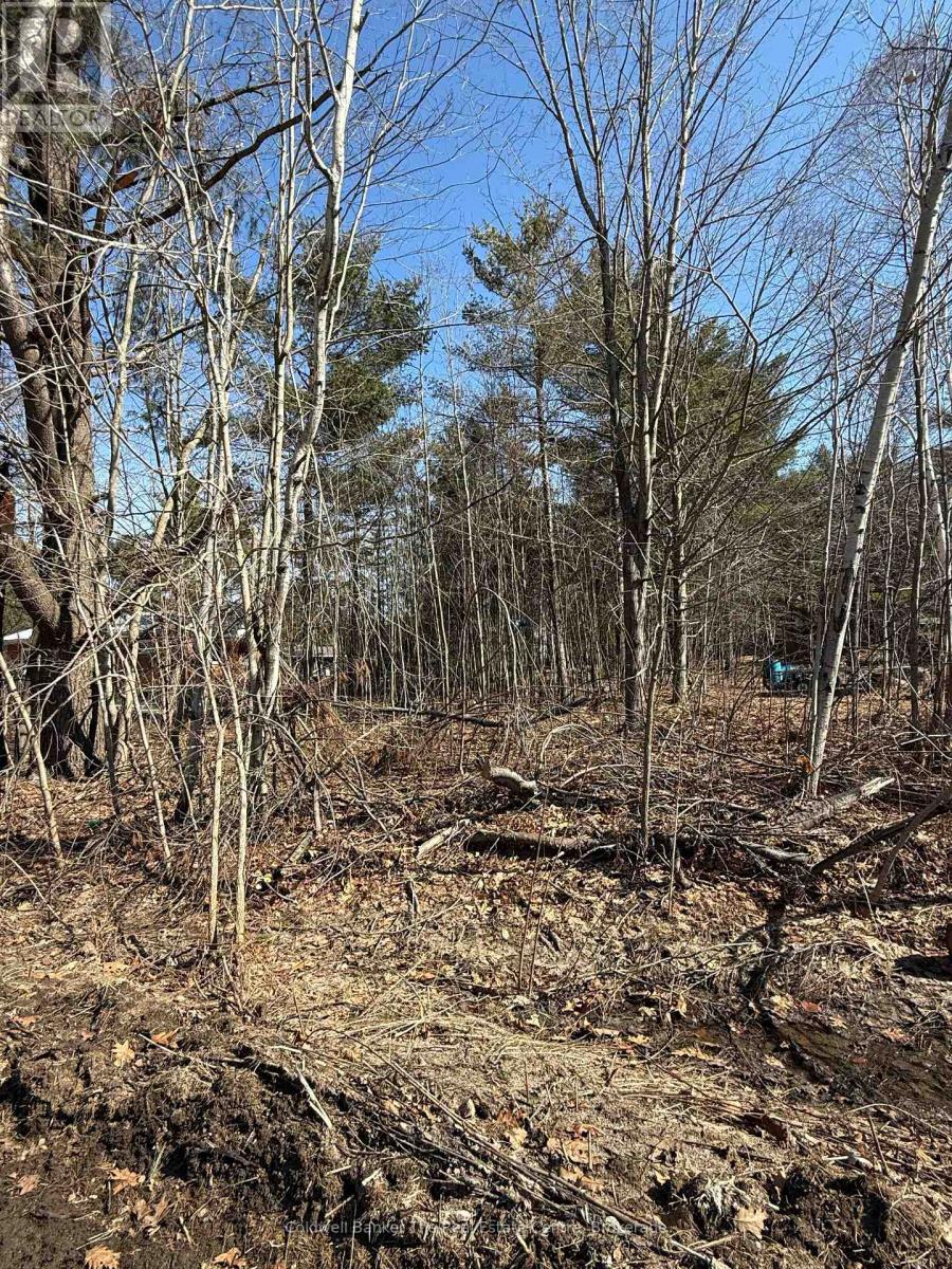 VACANT LOT PINEDALE ROAD