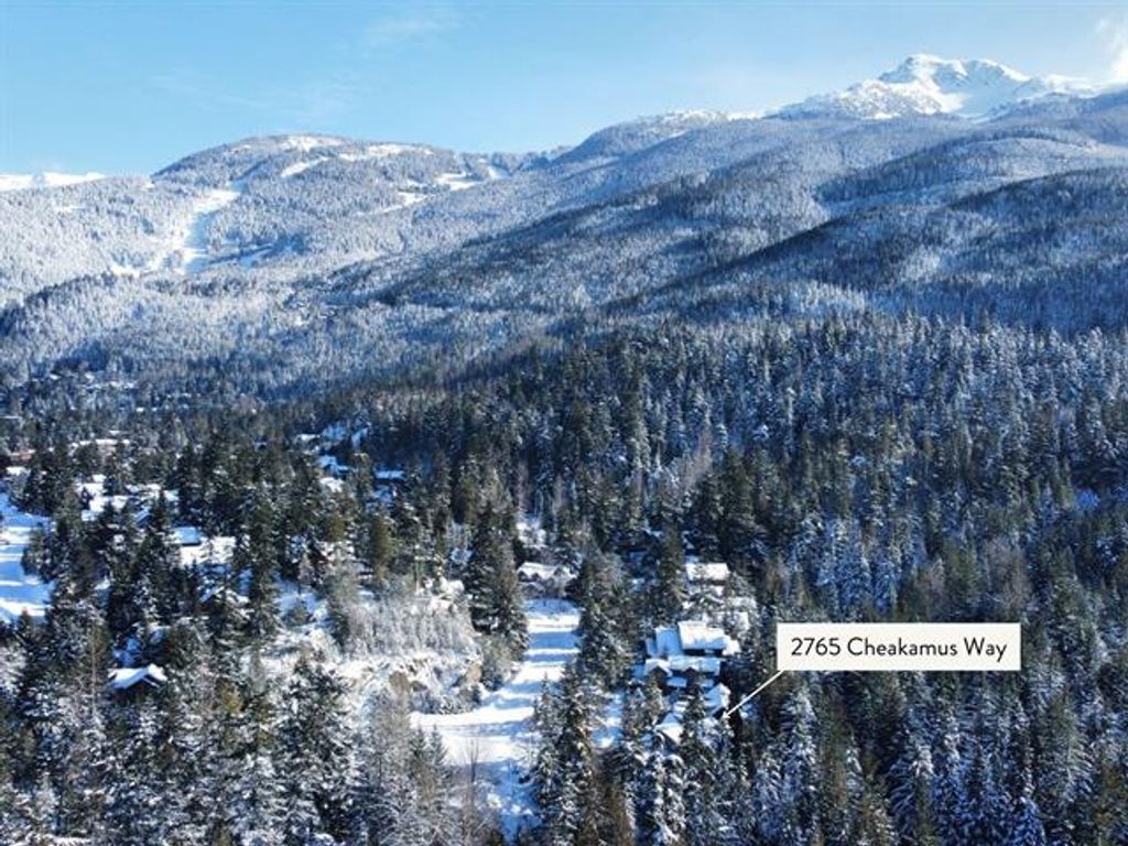 listing image 17295882295482862994