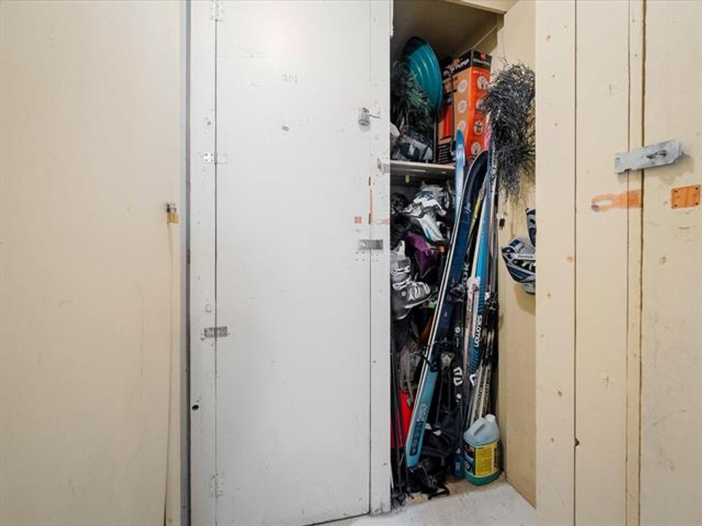 listing image 17295027305658094267