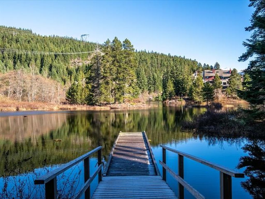 listing image 17298325042472554865