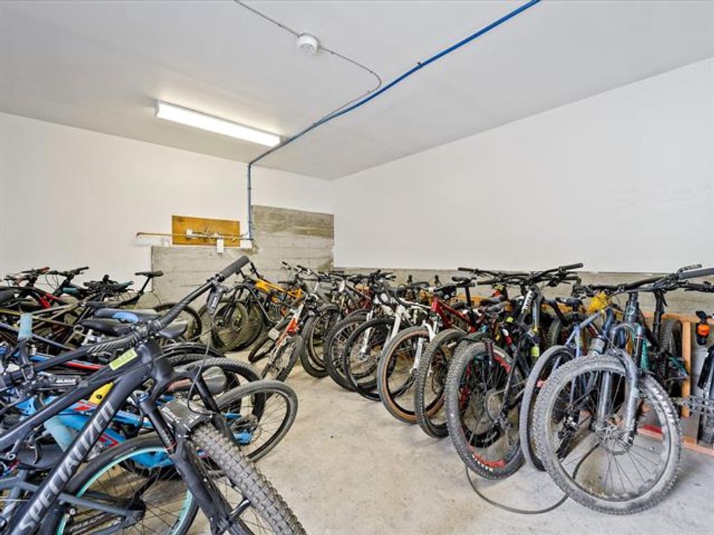 listing image 17291159119998489353