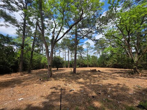 Photo of 655 NE 12th Avenue, Cairo, GA 39828 (MLS # 169027)
