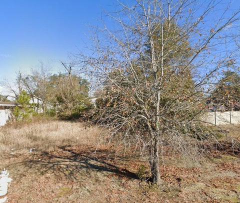 Photo of 329 Gordon Avenue, Albany, GA 31701 (MLS # 169069)