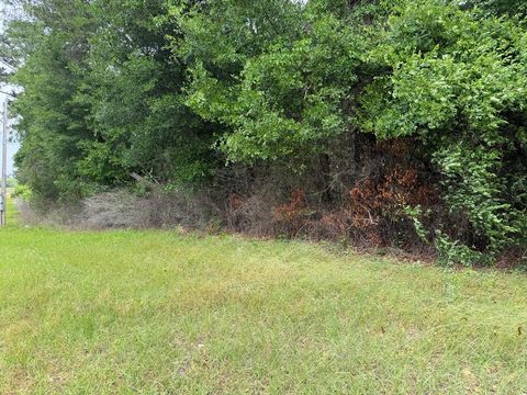 Photo of 708 Liberty Expressway, Albany, GA 31705 (MLS # 168994)