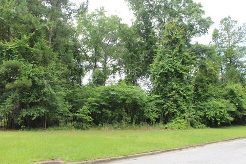 Photo of 300 Las Brisas Lane, Albany, GA 31721 (MLS # 165359)
