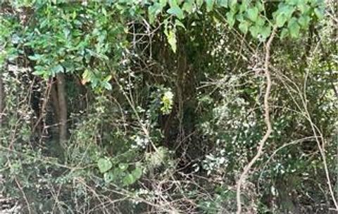 Photo of 000 Mock Road, Albany, GA 31705 (MLS # 168995)