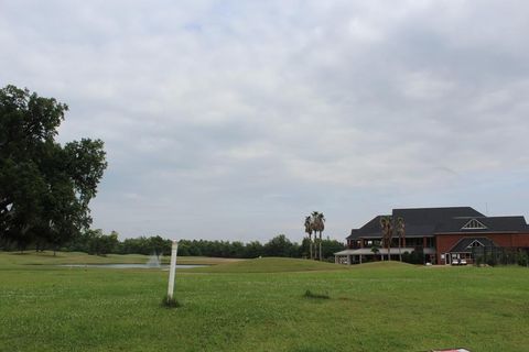 Photo of 339 Osprey Ridge Court, Albany, GA 31721 (MLS # 165369)