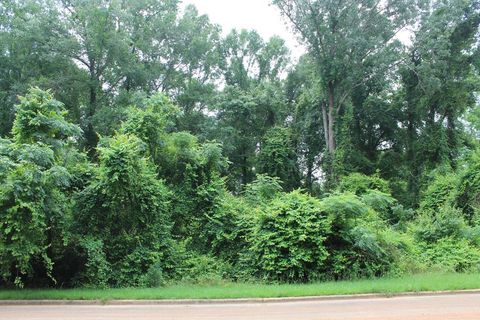 Photo of 306 Ironhorse Court, Albany, GA 31721 (MLS # 165383)