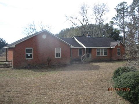 Photo of 1514 Whites Bridge Road, Colquitt, GA 39837 (MLS # 167489)