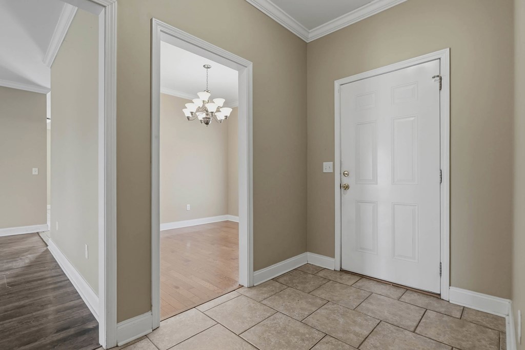 3105 Cane Mill Court