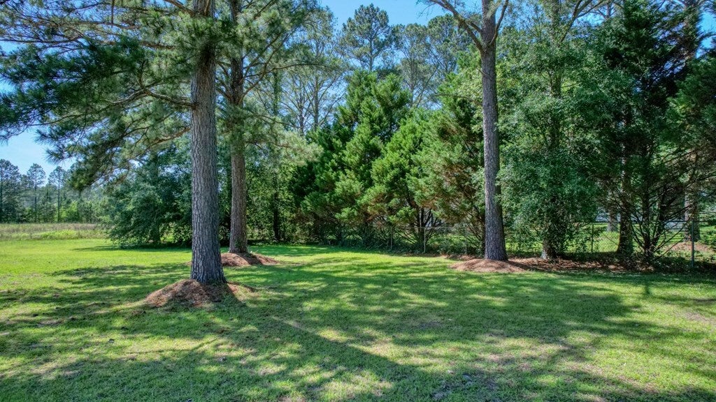 236 Palmyra Road