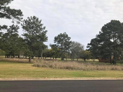 Photo of 1003 River Pointe Drive, Albany, GA 31701 (MLS # 163368)