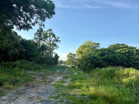 Photo of 0 W Pope Street, Sylvester, GA 31791 (MLS # 169196)
