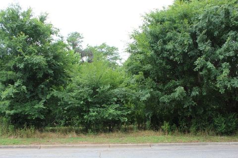 Photo of 346 Osprey Ridge Court, Albany, GA 31721 (MLS # 167398)