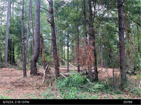 Photo of 2707 Somerset Drive, Albany, GA 31721 (MLS # 164607)