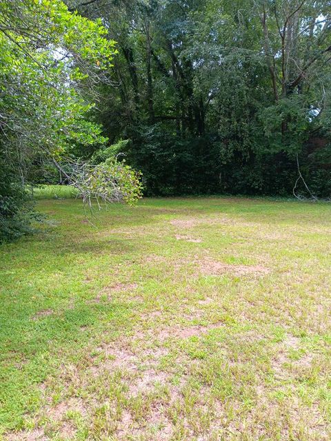 Photo of 520 Baldwin Dr, Albany, GA 31707 (MLS # 165455)