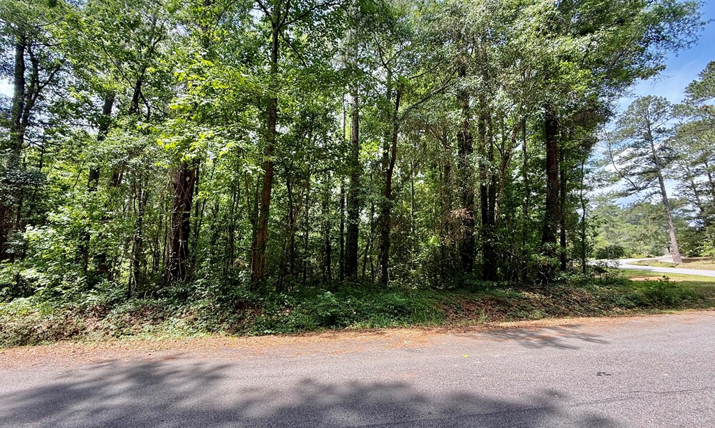 34 Sandy Springs Circle
