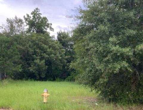 Photo of 329 Gordon Avenue, Albany, GA 31701 (MLS # 167313)