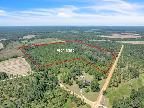 Photo of 2 Dixie Road, Leesburg, GA 31763 (MLS # 166956)