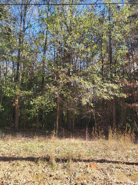 Photo of 0 NE Lumpkin Street, Albany, GA 31705 (MLS # 167257)