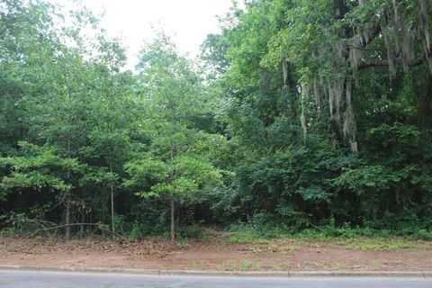 Photo of 292 Las Brisas Lane, Albany, GA 31721 (MLS # 165361)
