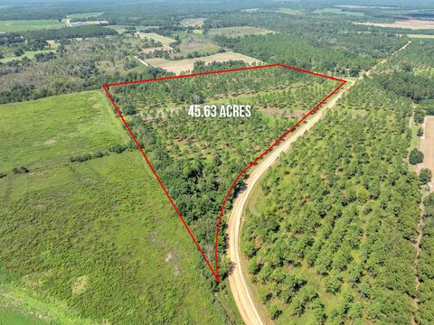 Photo of 1 Dixie Road, Leesburg, GA 31763 (MLS # 166955)