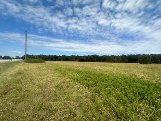 J Holton Hwy 37