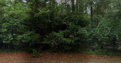 Photo of 710 Johnny W Williams Road, Albany, GA 31701 (MLS # 167316)