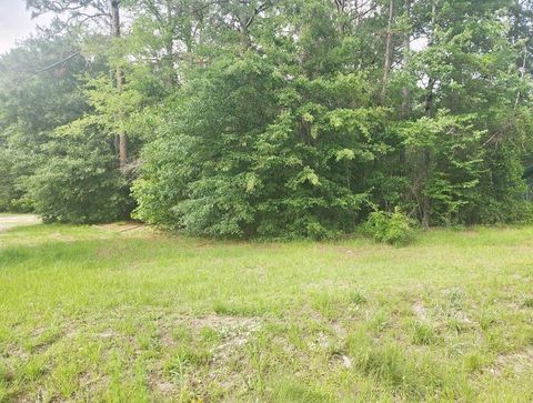 Photo of 164 Park Place, Sylvester, GA 31791 (MLS # 169225)
