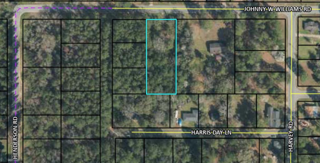 710 Johnny W Williams Road