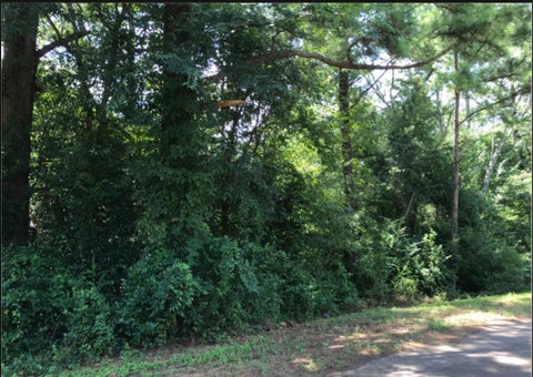 Photo of 8 Joiner Drive, Albany, GA 31721 (MLS # 169140)