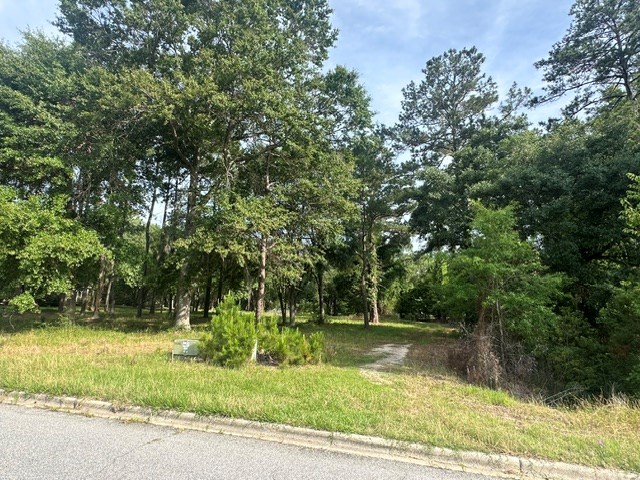 1315 River Pointe Drive