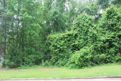 Photo of 327 Ironhorse Court, Albany, GA 31721 (MLS # 165375)