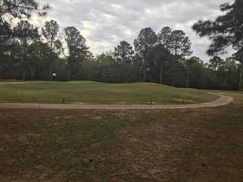 Photo of 1811 River Pointe Drive, Albany, GA 31701 (MLS # 163376)