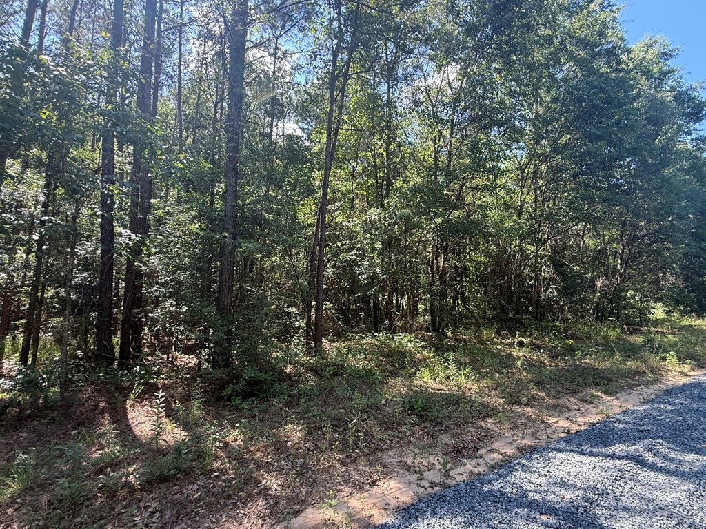 000 Appian Way