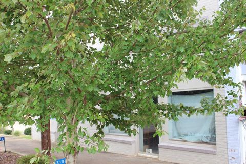 Photo of 318/322 Broad Street, Richland, GA 31825 (MLS # 165485)