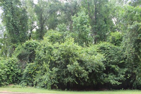 Photo of 304 Ironhorse Court, Albany, GA 31721 (MLS # 165384)