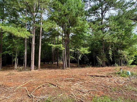 Photo of Lot 413 Willow Lake Drive, Leesburg, GA 31763 (MLS # 164783)