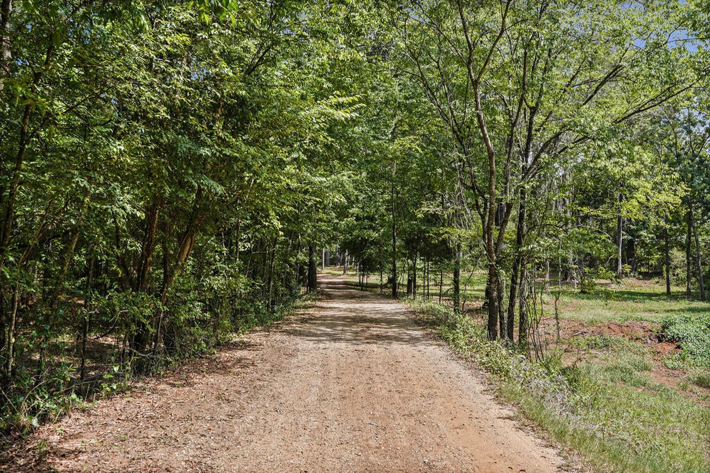 635 Armena Road