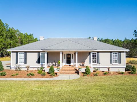 Photo of 910 State Hwy 32W, Leesburg, GA 31763 (MLS # 167199)