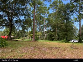 Photo of 744 Willie Pitts Jr Rd, Albany, GA 31701 (MLS # 169268)