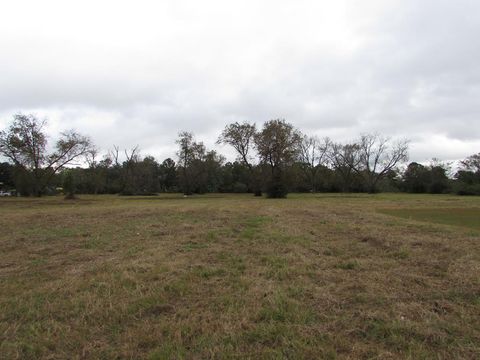 Photo of 0000 Chancey Mill Road, Blakely, GA 39823 (MLS # 167010)