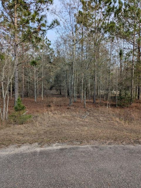 Photo of 123 Case Road, Sylvester, GA 31791 (MLS # 167354)