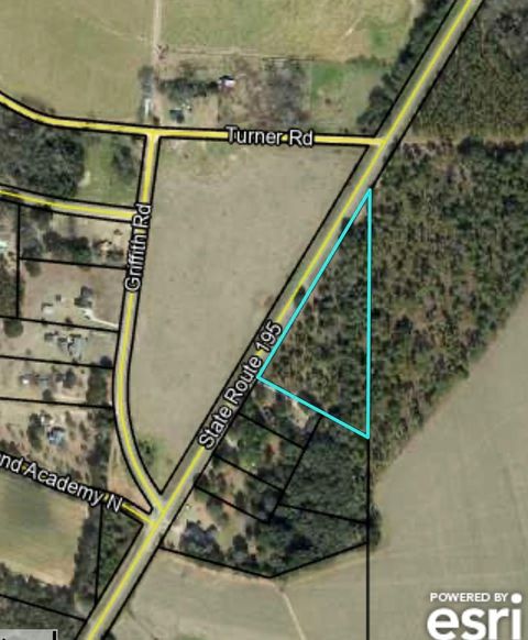 Photo of 000 State Hwy 195, Leesburg, GA 31763 (MLS # 169028)